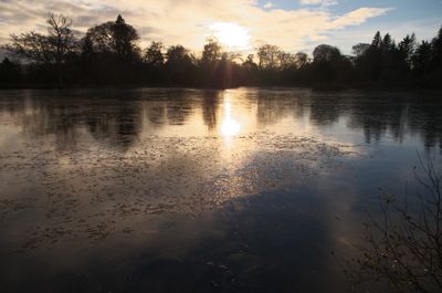 Nature Outdoors Pond Water Vegetation Sky