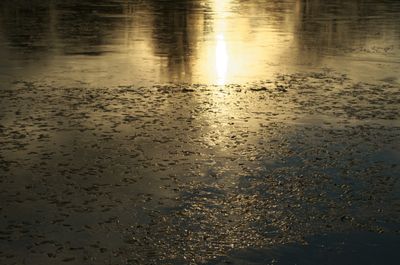 Nature Outdoors Water Land Sky Beach