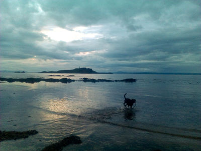 Nature Outdoors Sky Cloud Beach Coast