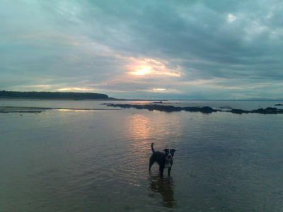 Nature Outdoors Sky Landscape Cloud Beach