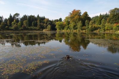 Nature Outdoors Pond Water Land Scenery