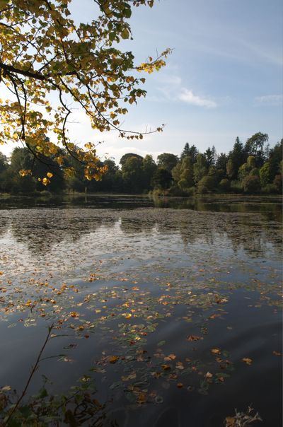 Nature Outdoors Pond Water Scenery Land