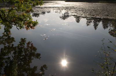 Nature Outdoors Pond Water Land Vegetation