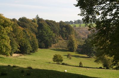 Countryside Farm Field Nature Outdoors Pasture