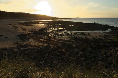 Nature Outdoors Sky Rock Beach Coast