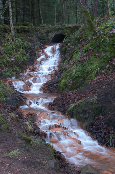 Nature Outdoors Stream Water Creek Waterfall