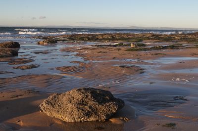 Rock Beach Coast Nature Outdoors Sea