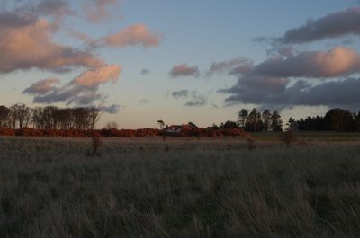 Ground Field Grassland Nature Outdoors Savanna