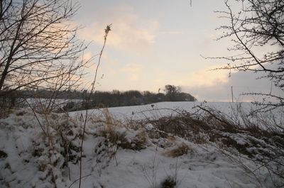 Lost_Collections/xmas-in-scotland-24-27-december/video