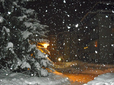 Nature Outdoors Winter Blizzard Snow Storm