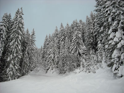 Ski resort at Zell-am-See