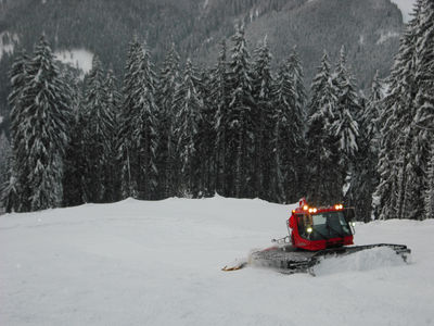 Nature Outdoors Snow Plant Tree Bulldozer