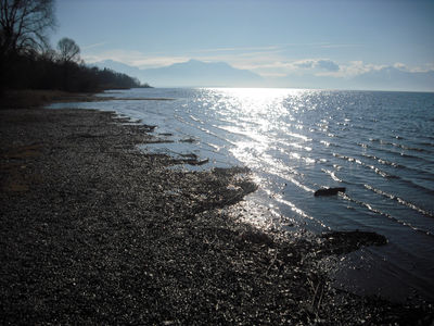 Somewhere in the Alps - a peaceful lake beach in spring