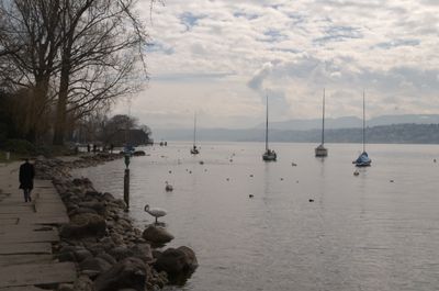 Boat Sailboat Vehicle Water Waterfront Nature