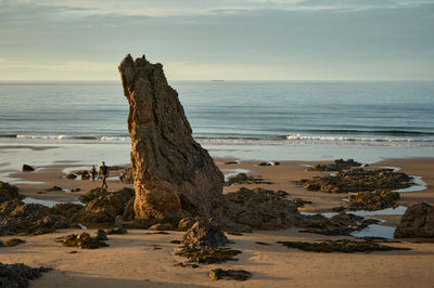 Rocks of bizarre shapes on the seashore under the evening sky