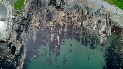 An aerial view of a rocky seashore - directly from above