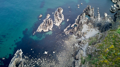 An aerial view of a rocky seashore - directly from above