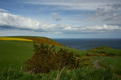 A beautiful calm evening over the seashore. Green bushes in the foreground