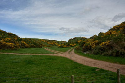 Dirt roads intersection in the green hills of Aberdeenshire