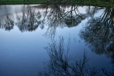 Water Nature Outdoors Land Tree Plant