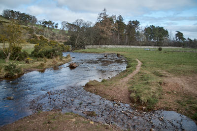 Water Nature Outdoors Creek Stream Land