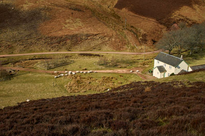 Nature Outdoors Slope Housing Building Land