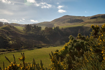 Pentland hills - green hills near Edinburgh in sunny day
