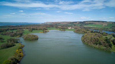 An overhead view of verdant fields and tree clusters taken on a beautiful day. In the distance, the