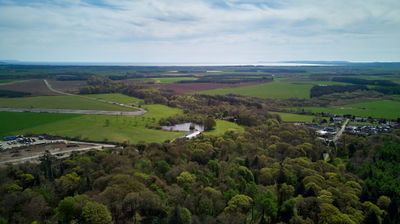 On a sunny day, an aerial shot of green fields and trees.