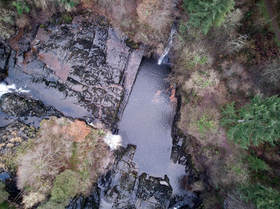 The Falls of Clyde