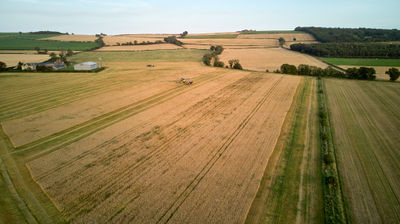 Harvesting time. Aerial view of a field