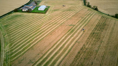 Harvesting time. Aerial view of a field