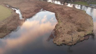 Puddle Outdoors Nature Water