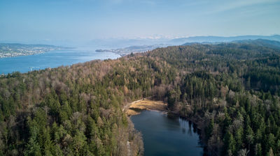 Aerial view of a forest with a small lake near Zurich. Lake Zurich and Apls on horizon