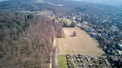 Aerial view of a forest, a field and houses in Zurich suburb