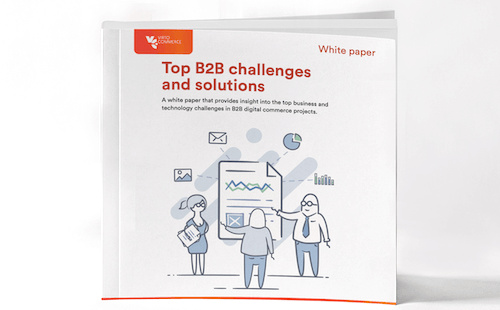 Top B2B ecommerce challenges & solutions