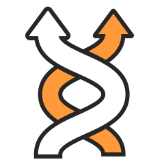 Streamline Commerce Operations