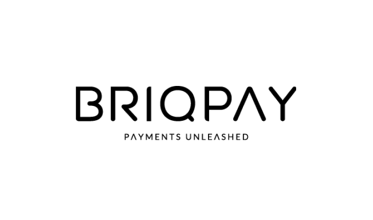 Briqpay Logo