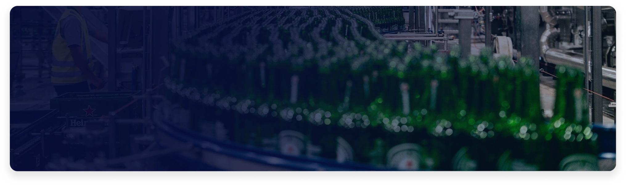 HEINEKEN achieves 30% of OpCo revenue with a mobile-first B2B platform