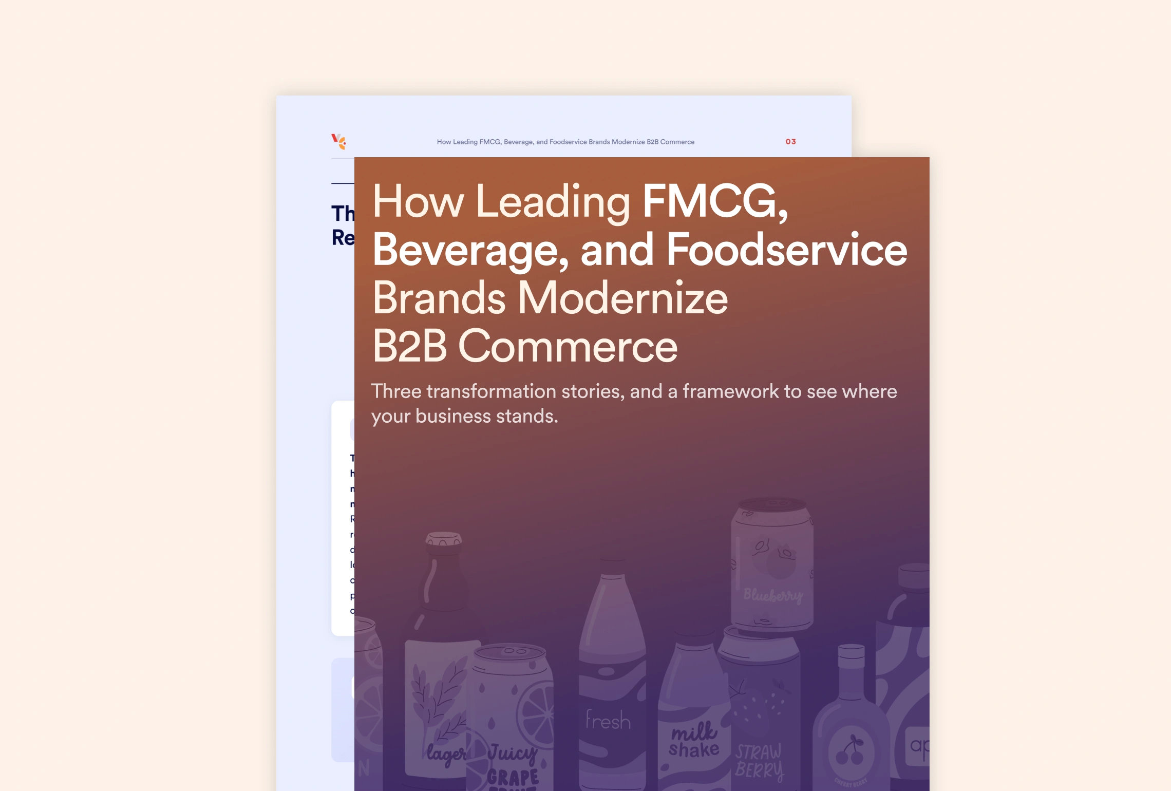 How Leading FMCG, Beverage, and Foodservice Brands Modernize B2B Commerce