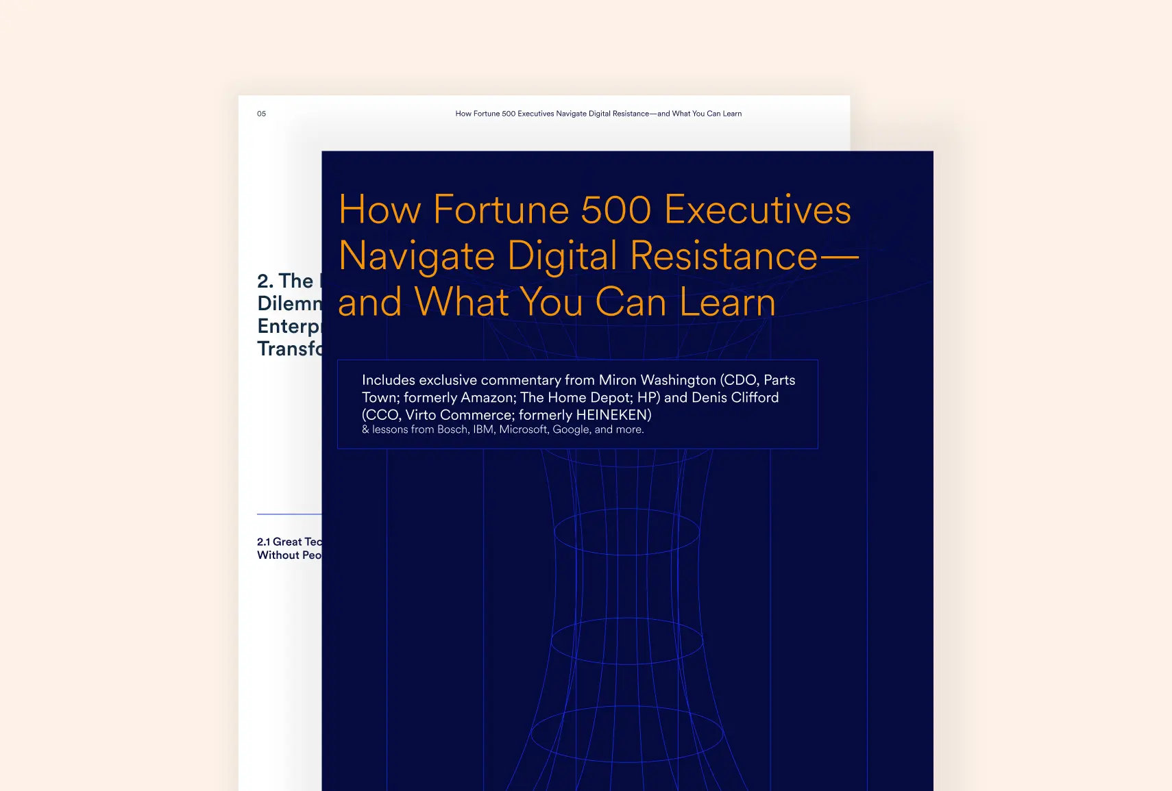 How Fortune 500 Executives Navigate Digital Resistance — and What You Can Learn