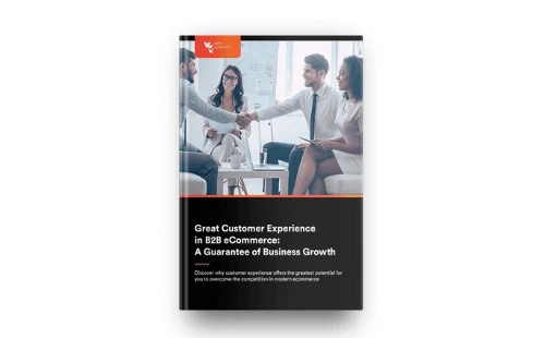 Great Customer Experience in B2B eCommerce: A Guarantee of Business Growth