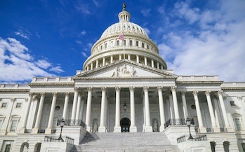 white house