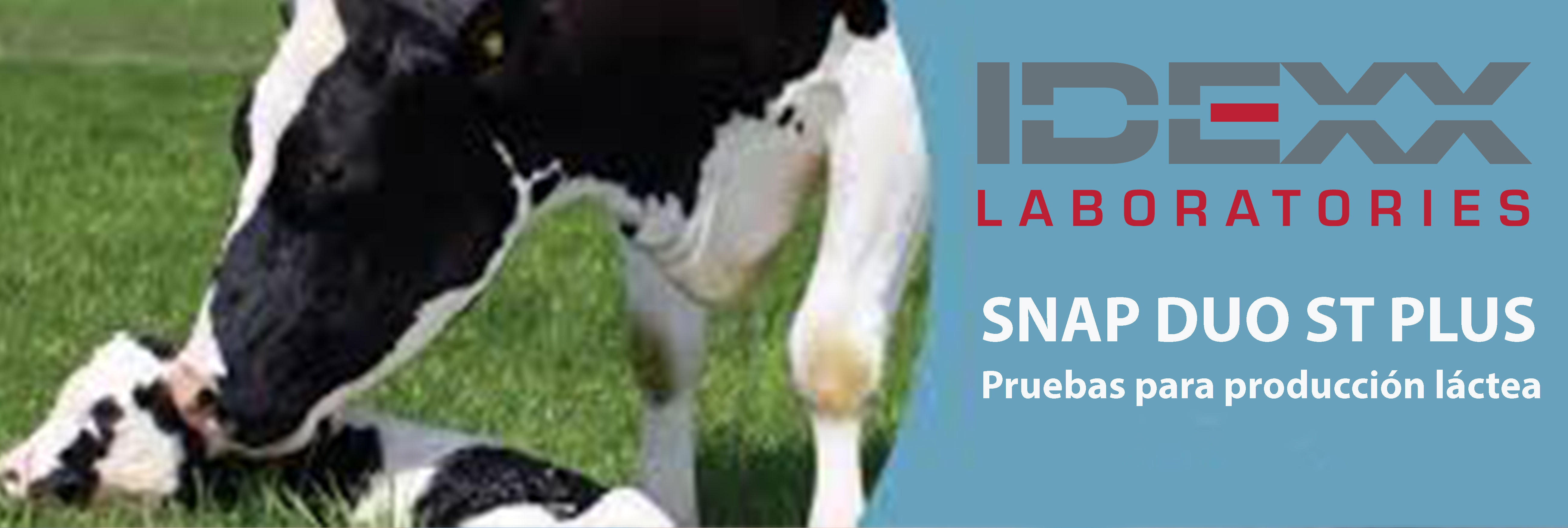 Soluciones para identificar contaminantes en la leche