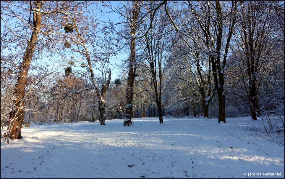 Parc enneigé au nord de Paris