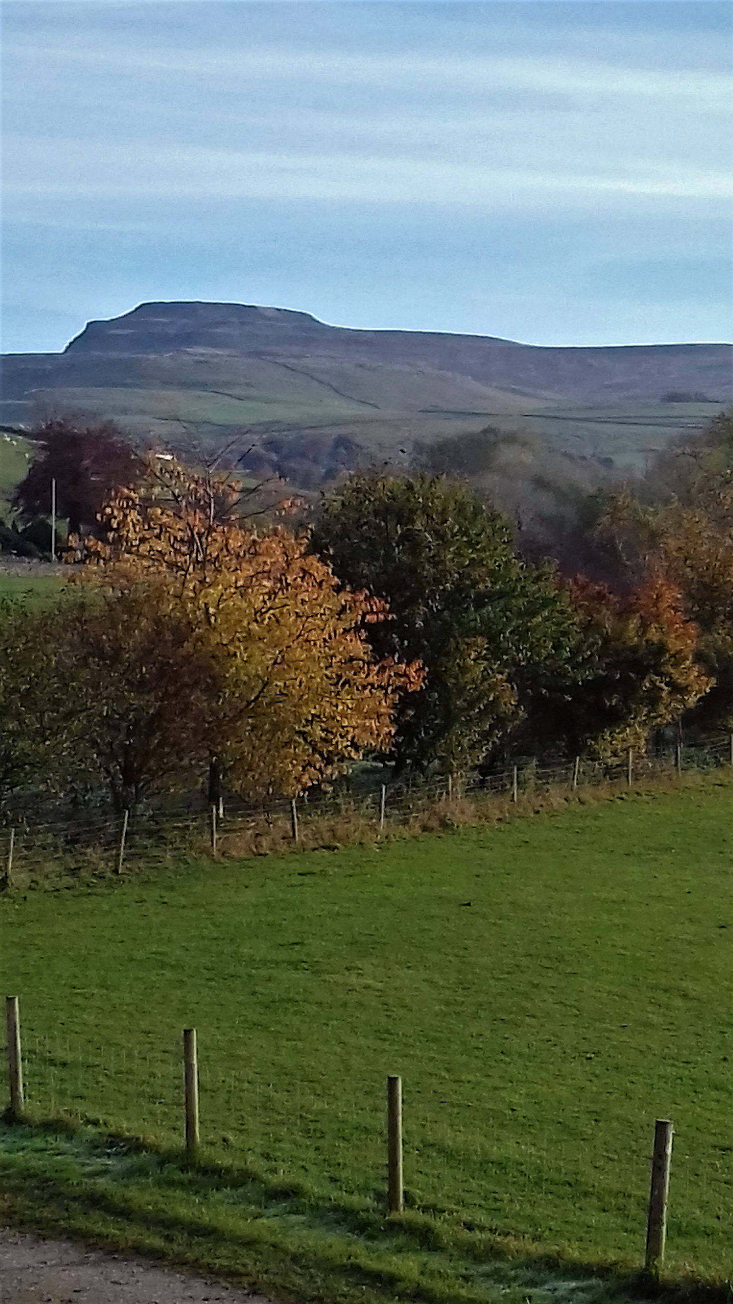 A view of Ingleborough in Autumn