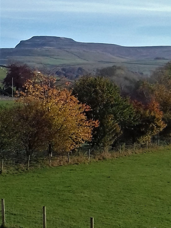 Braeburn Holiday Caravan - A Perfect Base for Exploring the Yorkshire Dales