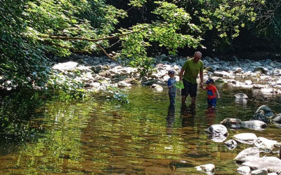 Wonderful Walks,  Dog Friendly,  Child Friendly……..Fun For Everyone!