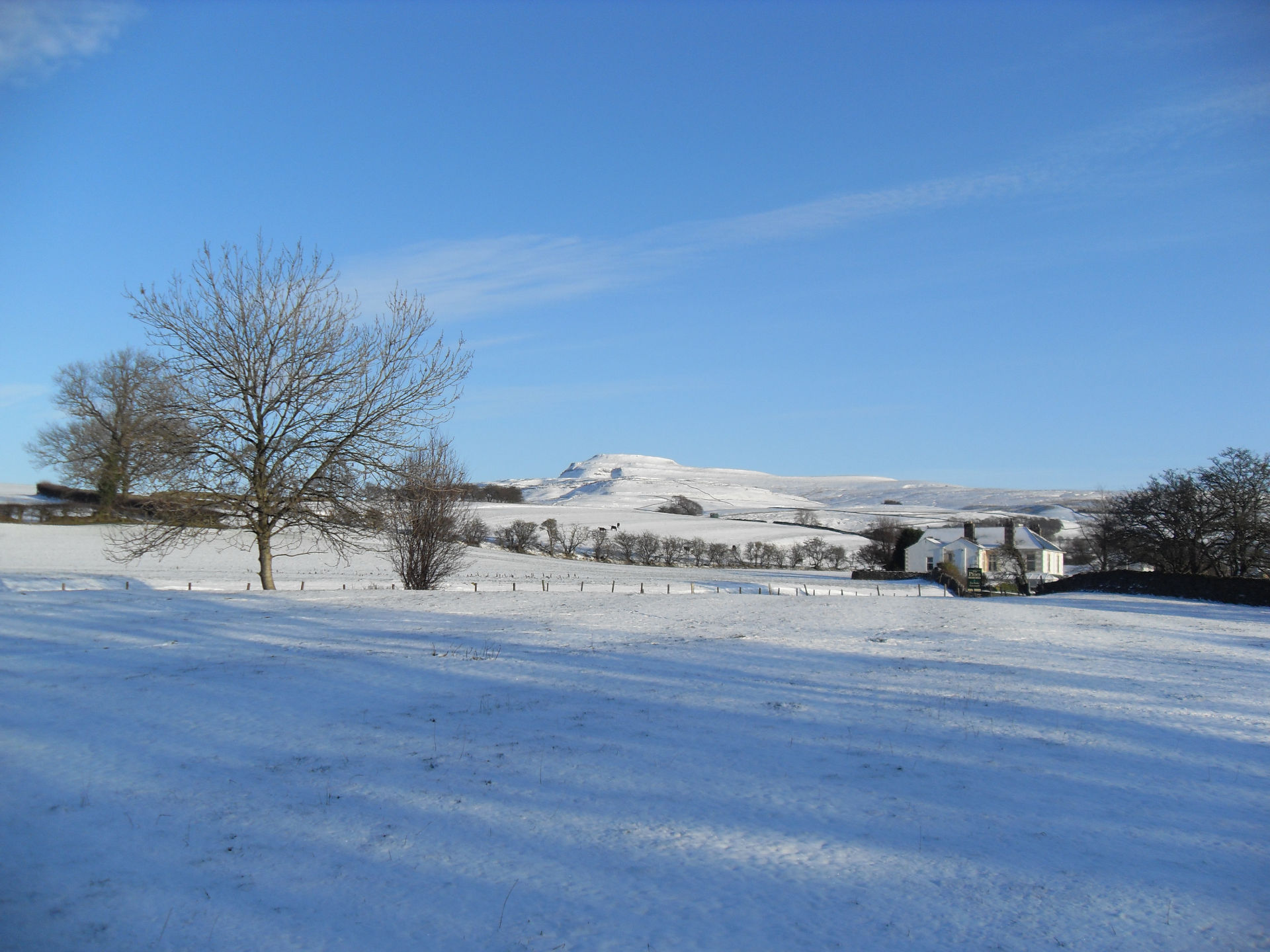 A view of Ingleborough in the snow