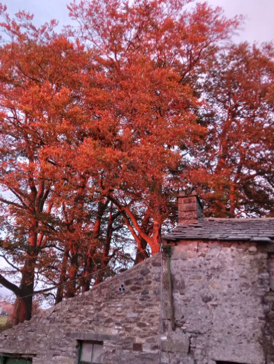 Lundholme Farm Cottages in Autumn